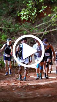 BIB:  <button type="button" onclick="openModal(27383129)" class="btn btn-primary btn-sm float-right" data-toggle="modal" data-target=".modal-high-quality">
                <i class="fa fa-download"></i> Download
                </button>